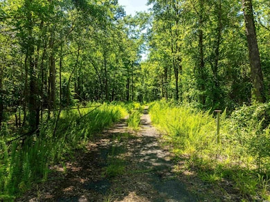 000 Evan Way, Royal, AR 71968 - photo 4