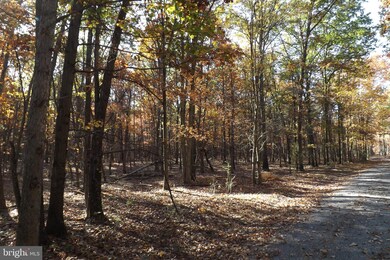 10 S Branch Rd, Levels, WV 25431 - photo 4