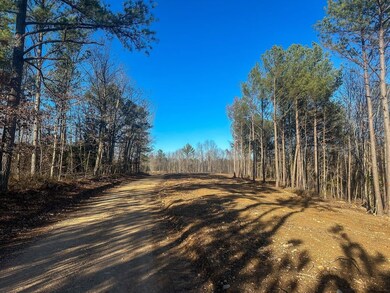 0 Firetower Rd unit 4, Centerville, TN 37033 - photo 2