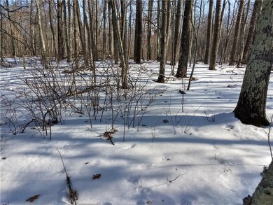 0 Lee Rd unit 1515415, Webster, WI 54893 - photo 5