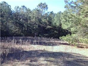 0 Otto Passman Rd, Franklinton, LA 70438 - photo 6