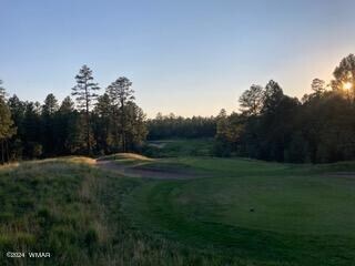 3680 Sage Ln, Show Low, AZ 85901 - photo 3