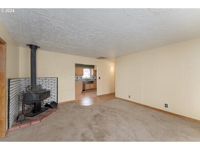 Fireplace Wood Burning Stove/Insert