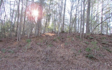 Additional View