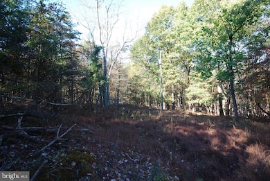 Lot 17 Gaither Rd, Great Cacapon, WV 25422 - photo 3