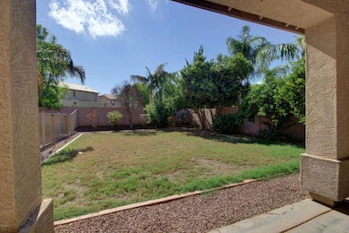Grassy Area from Covered Patio