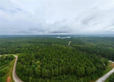 0 Jacks Hat Rd unit 7657227, Elberton, GA 30635 - photo 6