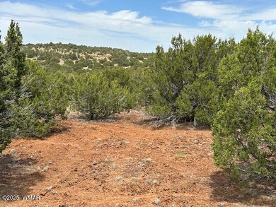 50 County Rd, Concho, AZ 85924 - photo 4