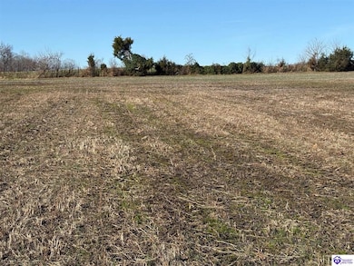 185 Owl Creek Dr, Vine Grove, KY 40175 - photo 4