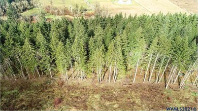 0 Gooseneck (Parcel #289476) Rd, Sheridan, OR 97378 - photo 3