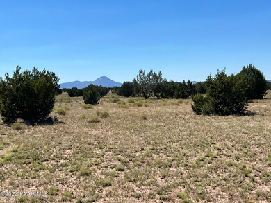 116 Old Route 66, Ash Fork, AZ 86320 - photo 2
