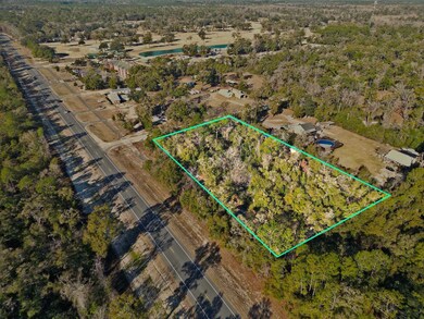 xx Lonesome Rd, Crawfordville, FL 32327 - photo 3