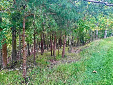 1030 Treetop Ridge Rd, Blacksburg, VA 24060 - photo 7