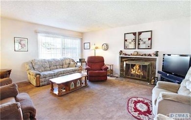 Huge Living Room With Fireplace