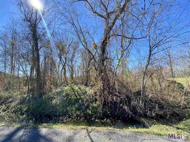 # 14 Magnolia Dr, Laplace, LA 70068 - photo 6