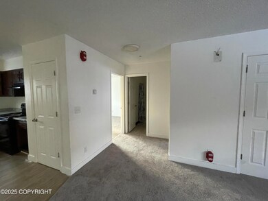 6701 E 6th Ave unit 13, Anchorage, AK 99504 - photo 3