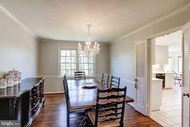 7913 Foxhound Rd, McLean, VA 22102 - photo 5