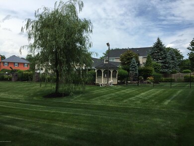 Backyard 3