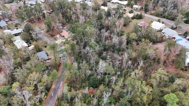 Vacant Walnut St, Chattahoochee, FL 32324 - photo 7