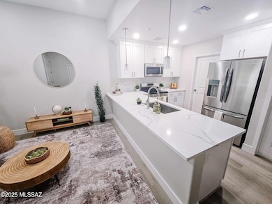 Kitchen and Living