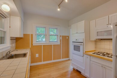 24 Ash St W, Three Oaks, MI 49128 - photo 7