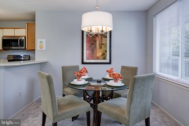 11719 Summerchase Cir unit A, Reston, VA 20194 - photo 7