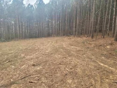 Tract 5 Thomas Springs Rd, Crossville, TN 38572 - photo 4