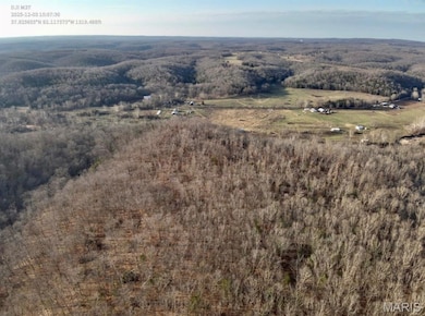 Tbd Creek, Dixon, MO 65459 - photo 3