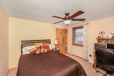 5241 E Lake Rd, Sheffield Lake, OH 44054 - photo 7