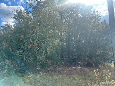 7779 N Cricket Dr, Citrus Springs, FL 34434 - photo 3