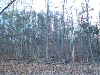 DSCN1185_2320