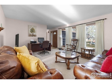 Living Room with Lots of Natural Light