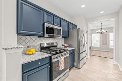 317 Berg Cir, Fort Mill, SC 29715 - photo 7