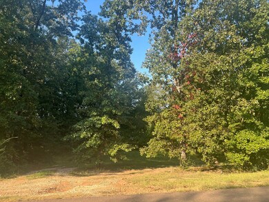 1145 E Wellsgate Dr, Oxford, MS 38655 - photo 2