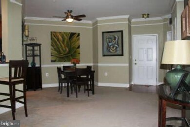 23620 Overlook Park Dr unit 101, Clarksburg, MD 20871 - photo 4