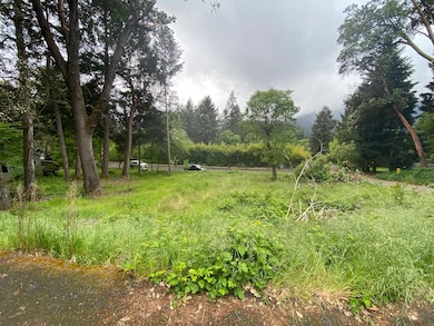 352 Tree Top Ln, Willow Creek, CA 95573 - photo 2