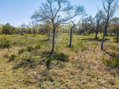 TBD Parente Place, Keaton Beach, FL 32348 - photo 6