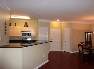 Kitchen Front Door Coat Closet DR