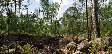 367 Glass Hill Rd, Grafton, NH 03240 - photo 6