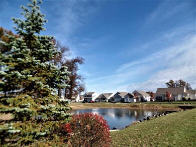 pond