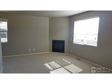 6757 Covenant Ct, Timnath, CO 80547 - photo 4