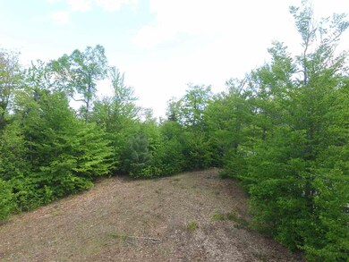 0 Bog Rd unit 4639257, New London, NH 03257 - photo 4