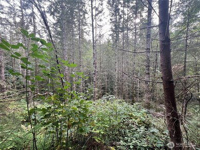 2 XX View Dr NE, Poulsbo, WA 98370 - photo 5