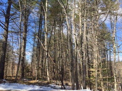 00 Province Lake Rd unit 18, East Wakefield, NH 03830 - photo 4