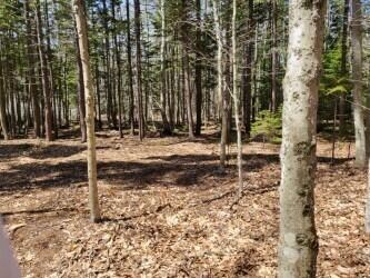 0 Quail Run Lot 4