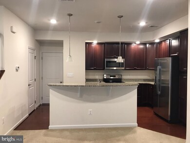 42231 Piebald Square, Aldie, VA 20105 - photo 6