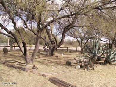 2331 quail 035