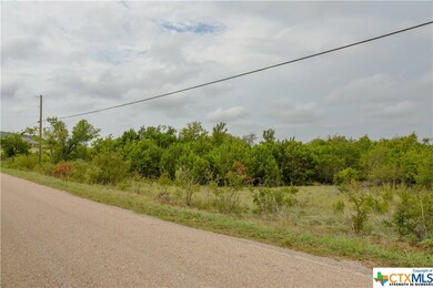 1535 Lutheran Church Rd, Copperas Cove, TX 76522 - photo 3