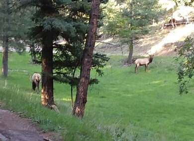 58 Big Bend Loop, Cloudcroft, NM 88317 - photo 4