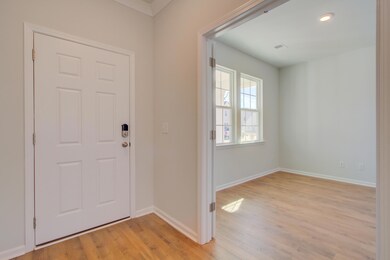 411 American Goldfinch Way, Moncks Corner, SC 29461 - photo 4